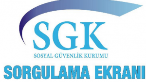 Rapor Parası Sorgulama, Rapor Parası Ne Zaman Yatar