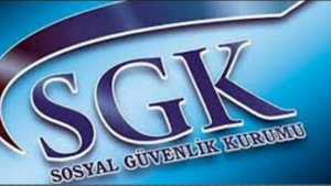 İş Göremezlik Raporu