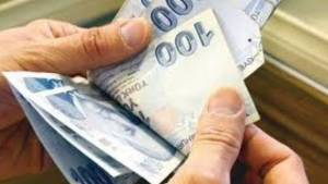 Engelli Maaşı