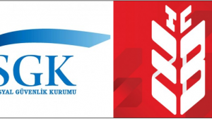 Cenaze Parası Sorgulama