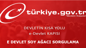 Alt Üst Soy Bilgisi Sorgulama