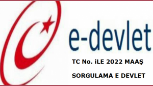 2022 Maaş Sorgulama, TC İle 2022 Maaş Sorgulama E Devlet