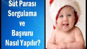 2020 Süt Parası Sorgulama ve Tüm Detaylar