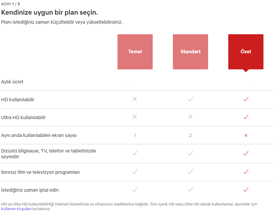 Netflix Üyelik Planları