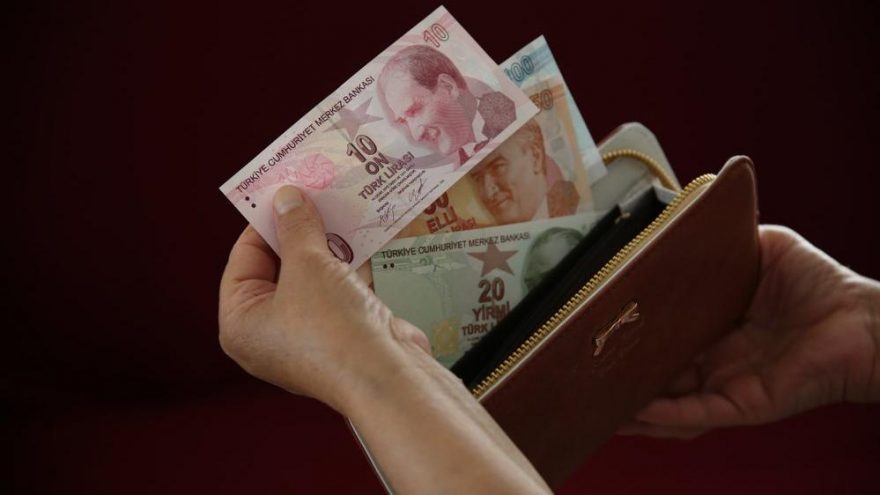 Analık Rapor Parası Sorgulama