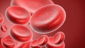 Kan Grubu Kartı Nereden ve Nasıl Alınır? Ücreti Ne Kadar?